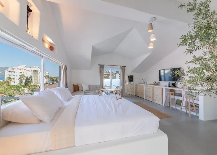 Hotell L'olive Homes