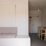 L'olive Homes
