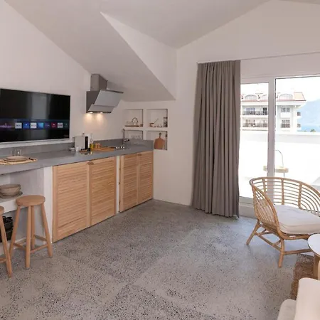 酒店 L'olive Homes 马尔马里斯