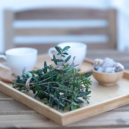 L'olive Homes مرمريس