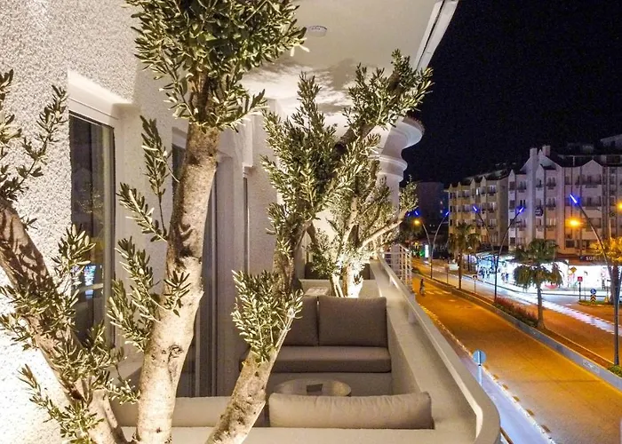L'olive Homes
